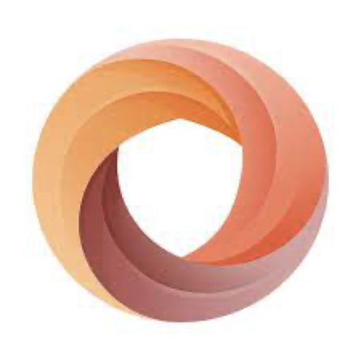 银狐VPN Logo